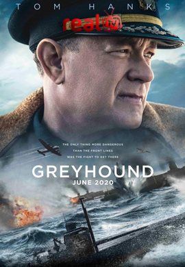 Greyhound